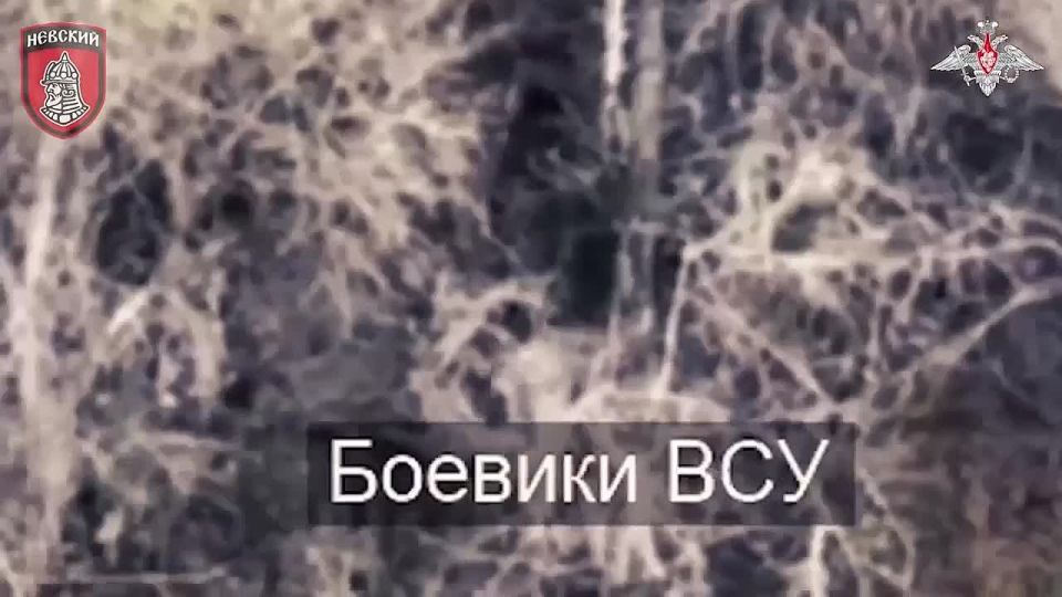 ���������� ��������� ������ ��� �� �����������-����������� �����������