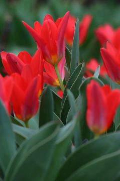 18 ������ � �������:. ���������� ����������, ��� ������������ �������