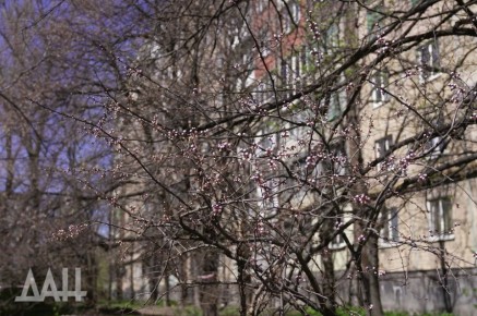 � ��� ��������� ����������� ����� ������ �������