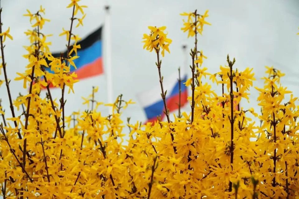 ������ ����, �������!. ���������� ���������� ����� ����������, ����� ������������ �������� ������ ������� ���������� ����� ���� �������� ������������� ����������� � �������� ��������, ������ ����� ��� �� ������ ������