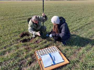 � ������ ������ ����������� ���������������� ������� �������� �� ����� ���