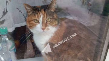 � ������ ������ �����, �� �������� ������� ����� � ����