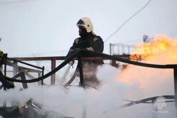 #������_���� �� �����. ������������� 23 ������, �� ��� ����������� � 4. ����� ��� 1 ��� ������������ ��� ������������ ���������� ���