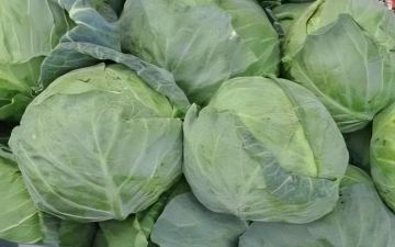 ������������� ������� � ������ ���������