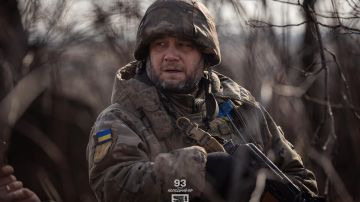 �������� ����� ������� ��������� ����� 6,5 ����� ���: ������ � ���������������� ������ ���