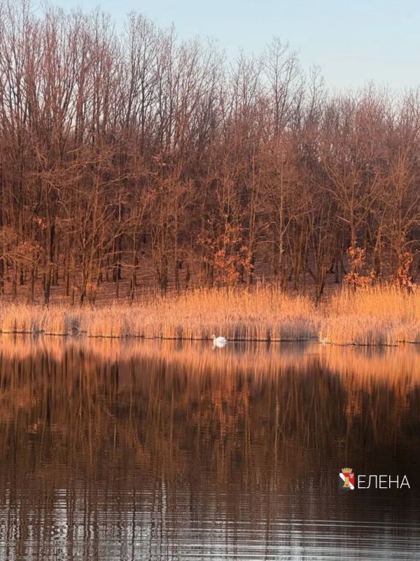 ����� ��������: ����������� ��������� ���!