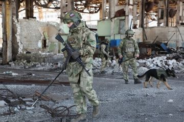 ���������� ����������� ����� 8 ����� ����������� � ��� �� �����