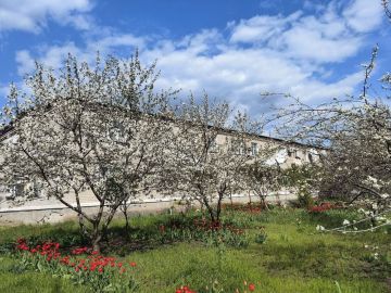 ������� ����������: ������ ����, ��������� ������ �������������� ������!