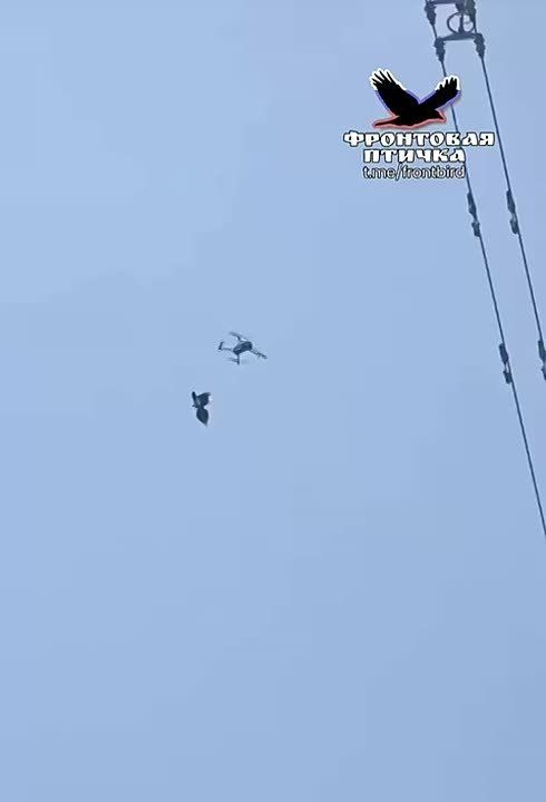 ���-�� �� ��������� ���: ����� �������� ����, ��������� ��� �� �������