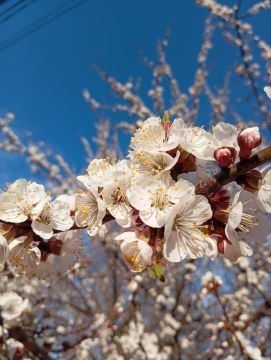 ������ ��������: ������������� ��������. 20 ������ � ���������� ������� � ������������, ����� ��������� � ��������� �����, ���� ��� ������������ �������