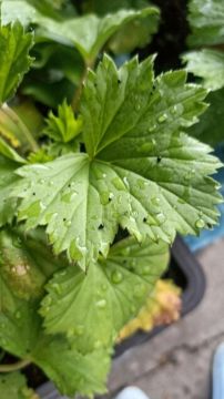 ����� ����� ���� �� ��������� � ������ ������� ������ ��������� ����������� ������ � ������ �����