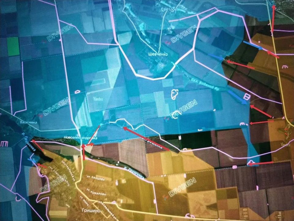 ���� �������: ����������� �����������. ������������� �������