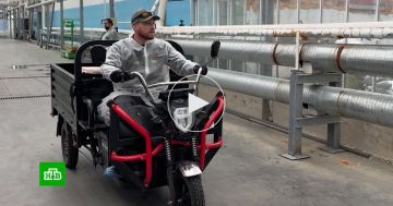 ���� ���������� ��������� �������� ��������� ��� �������� ����� ���������