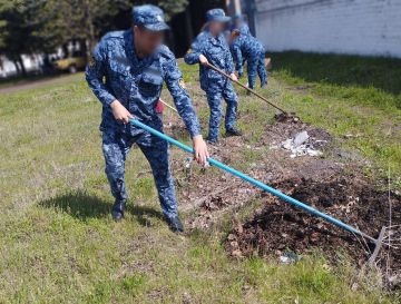 ���������� ��-10 ���������� ����� ��� �� �������