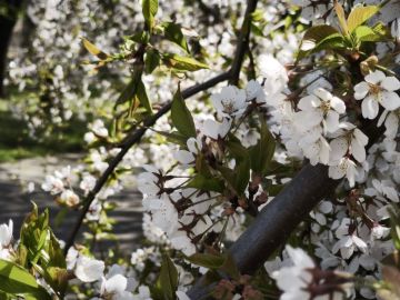 20 ������ � ���������� ���������� ����������, ���� ��� ������������ �������, ����� ��������� �����