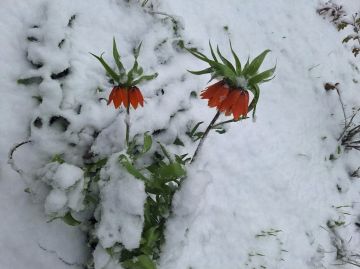 ���, ����� ������, � ������� ����� ��������! � �������� ������� ������ ������ � � ������ ���� ����� ����