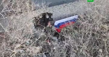 ������������ ����� ������������ ���� ������� � ���