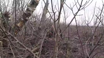 ��� ����� � ������ ���������� ������ "����"