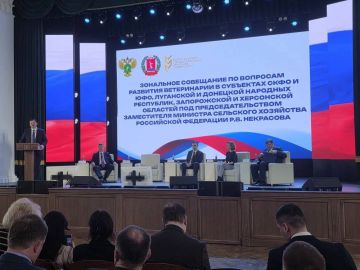 ����� ����������: ������� ������� � ������-����� ����������