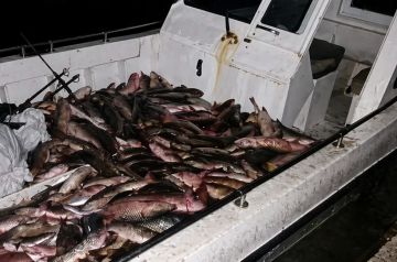 � ��� ���� ����������� � ������� ������ ���� �������� ��������