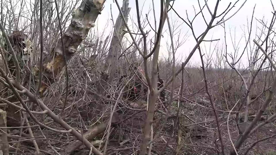 ��� ����� � ������ ���������� ������ "����"