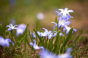 ������������� ��������. 22 ������ � ���������� ������� � ������������, ����� �����, ������� � ������ ������, ������� ��������� ������� �����; ���� ������� ��������� �����