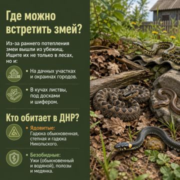 ������ ���������� ������ ����� � ��� � ������������ ��� �� ��� ��������