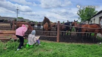 ��� ����������� ��������� � �������� ������ �������� ������ ������� ������� �� �������� ������