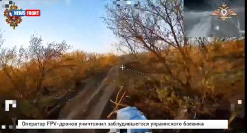 �������� FPV-������ ��������� �������������� ����������� �������