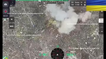 ��������� ���: ��������� ����� ��� ���������������