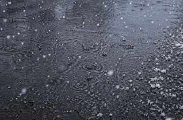 � ������� � ��� ��������� ������ ����� �� 20 �/�, ������ ���� � �����