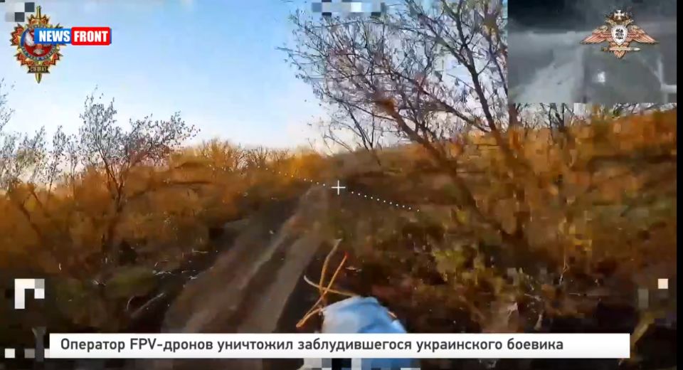 �������� FPV-������ ��������� �������������� ����������� �������