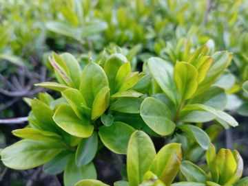 ������ ��������: ������������� ��������. 23 ������ � ���������� ���������� ����������, ����� ��� ������������ �������, ���� ������� ��������� �����