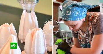 ������� ����: ��������� ��� �������� ������� ����� �������� ������ � ��������