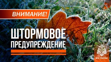 ��������� �� -3� ������� � ��� ��������� � ������ 24-25 ������