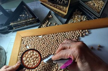 ������� ����������� � ���������: ��� � ��� ��������� ������ ����� �����