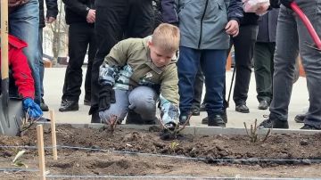 �� ����������� ����� ������� �� ����� �������� ������ � ������ ���������� � ������������ ������ �������