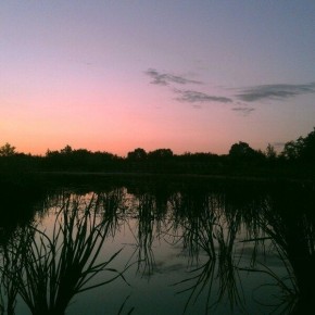 ��������� ������: ������ ����, ������� ������ ������������� �������������� ������!