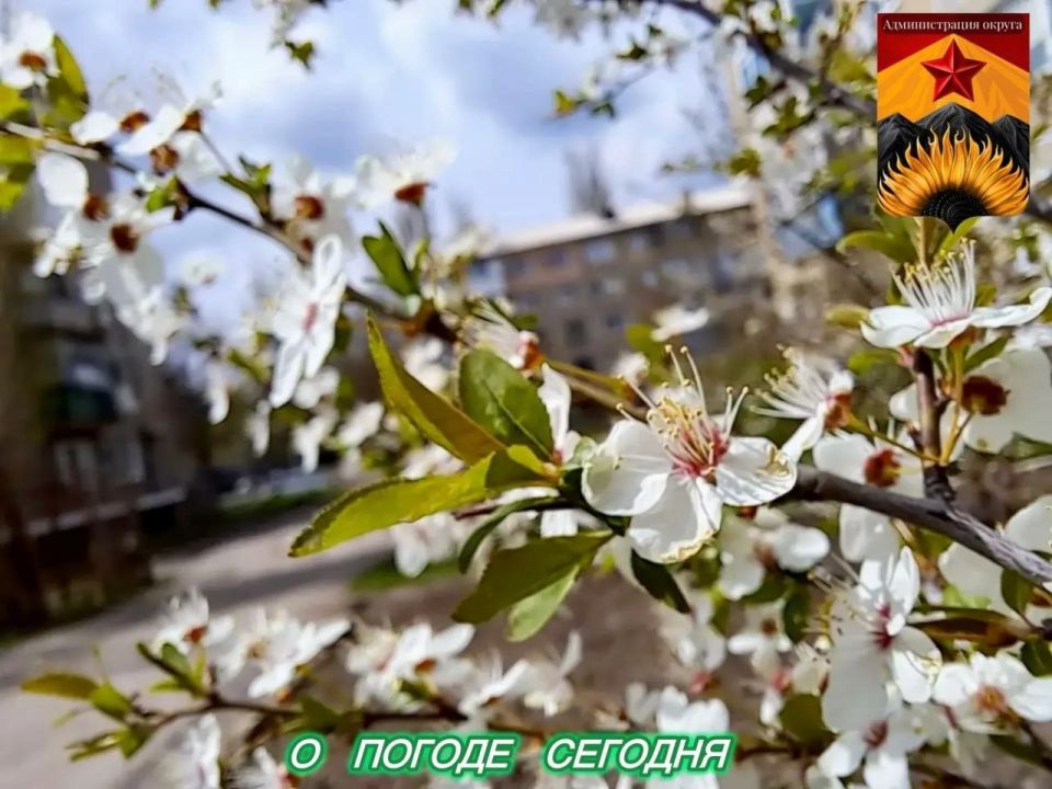 ��������� �����: ������������� ������� � ������ � ���������� ������