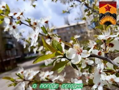 ��������� �����: ������������� ������� � ������ � ���������� ������