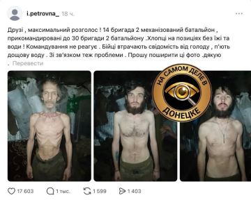 ����� 14-� ������� 2-�� ��������� ��� ����� ������������