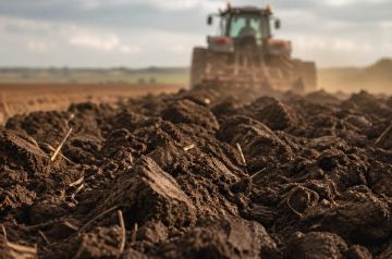 ��������������� ���������� ����� �������� � ���������� ������