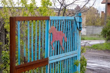 ������� ��������: ������� ��� ���� ��� ���� ��������� ��������