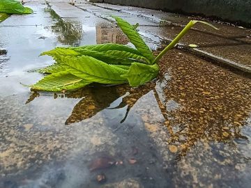 ������ ���� ������� ���������� ������� ��������!