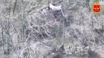 ���������� ������: 00:00 ������� ���� 11-�� ���������� ������� ����������� ������ ������ ������ ���������� �������������� ���������� � ����������� �������