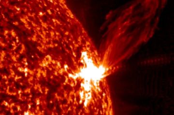 ���������� � ������� ������� ��������� �� ������