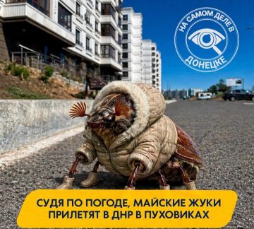 ������ ����! �����������