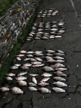 ����������� �������� ���� ����������� ������ ����