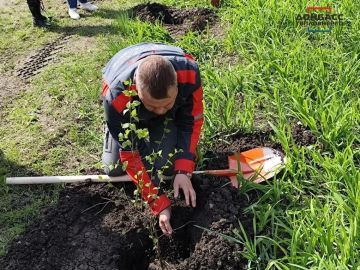 ���������� ������� �����������������ܻ �������������� � ������������� ����� ���� �����Ȼ