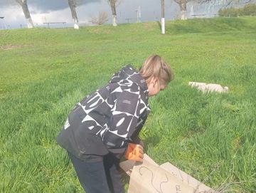 ������� ���� "��������� ����� �2 ����������� �.�." �������������� �� �������������� ����������!